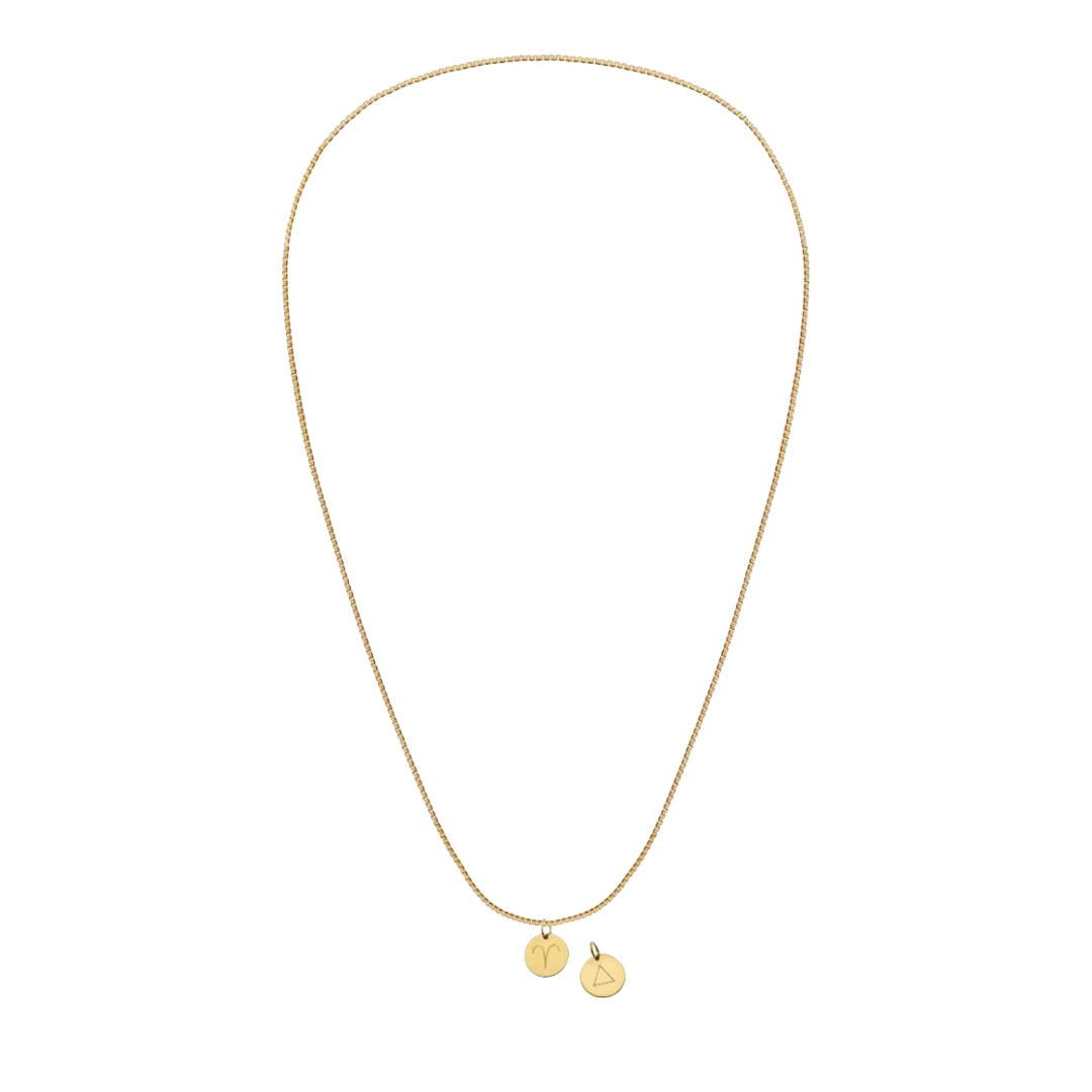 Charm Zodiaco